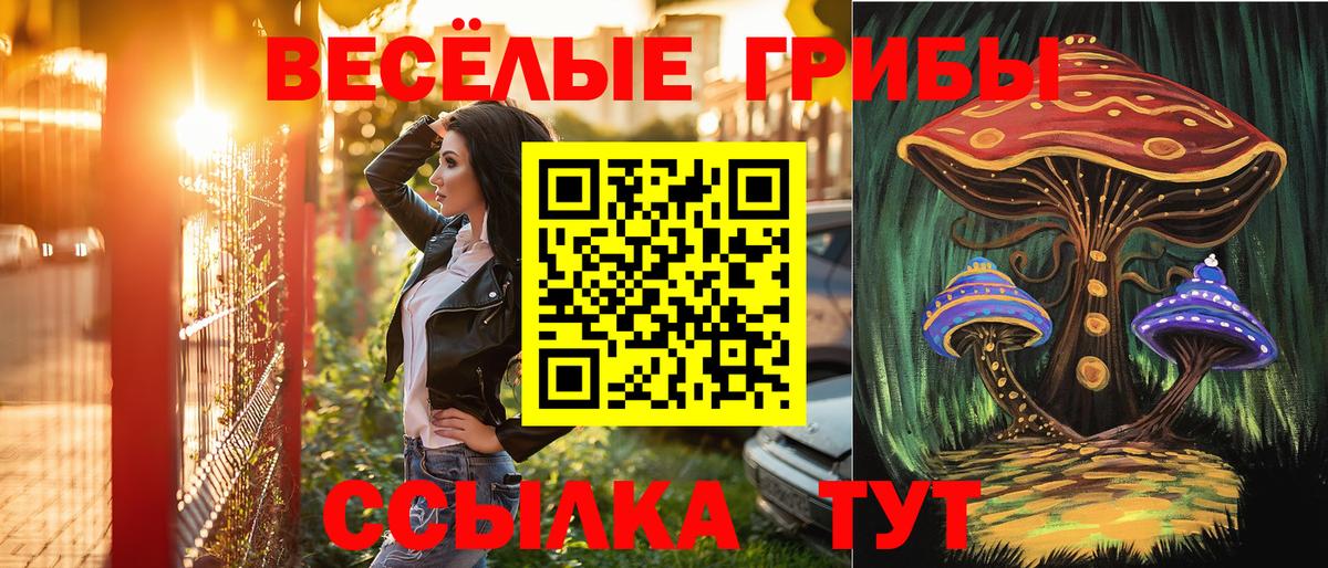 Псилоцибиновые грибы MAGIC MUSHROOMS Горячий Ключ