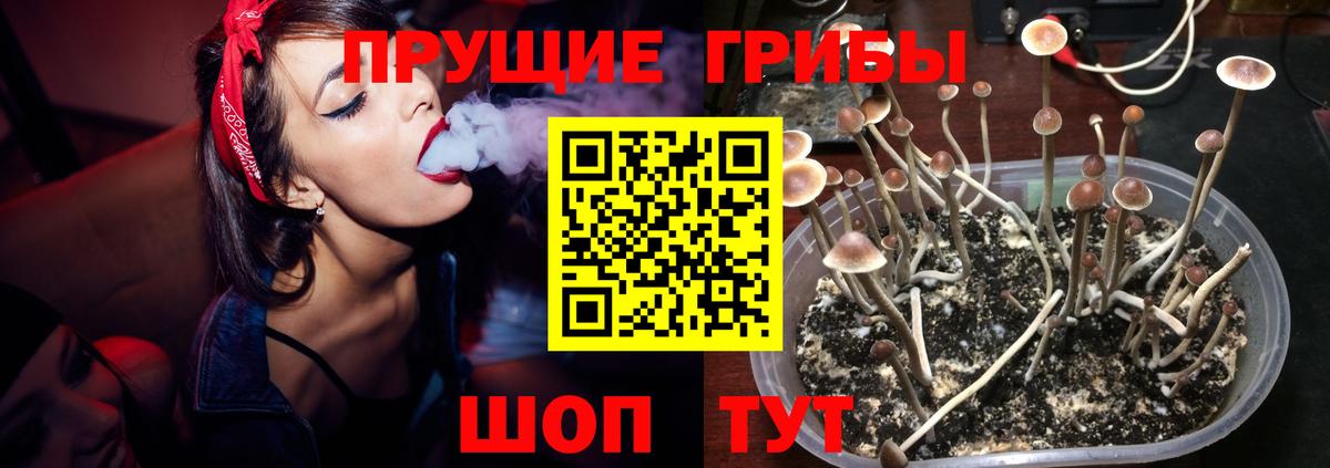 Горячий Ключ  Галлюциногенные грибы Psilocybine cubensis  Вход с VPN 